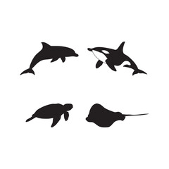 Fototapeta premium Dolphin, Orca, Sea Turtle & Stingray Silhouettes Swimming in Marine-Themed Layout Vector Art