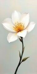 Naklejka premium A single white flower with yellow center