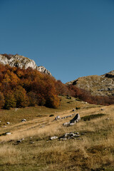 Autumn landscape in Montenegro with colorful forested hills and rocky mountain peaks under a clear...