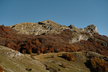 Autumn landscape in Montenegro with colorful forested hills and rocky mountain peaks under a clear blue sky. Natural beauty and peacefulness of the Balkans captured in vibrant fall tones.