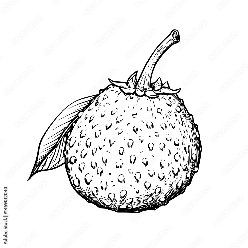 Poster Detailed flat black icon of a lychee fruit showcasing its unique texture and distinctive features on a plain background