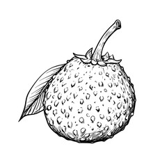 Detailed flat black icon of a lychee fruit showcasing its unique texture and distinctive features on a plain background