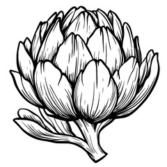 Intricate black icon of an artichoke showcasing detailed petals and leaves in a minimalist style