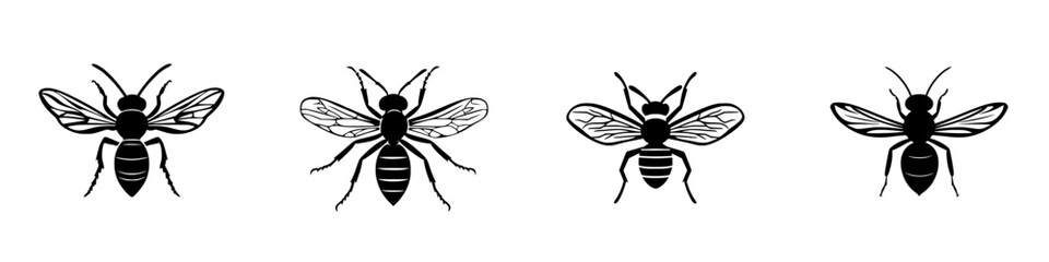 Flat black icons of different bee species showcasing their unique features and characteristics in a minimalist style