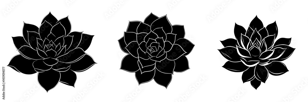 Poster flat black icon representation of three succulent plants arranged in a row showcasing their unique s