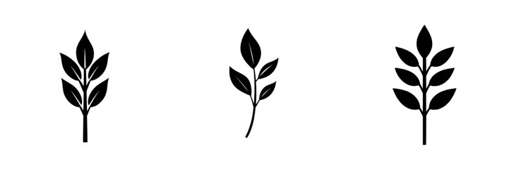Flat black leaf icons showcasing simple botanical designs with varying arrangements and shapes for graphic use