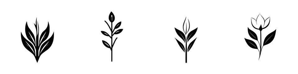 Flat black icons of various plant designs showcasing different stages of growth and flower development in a minimalist style