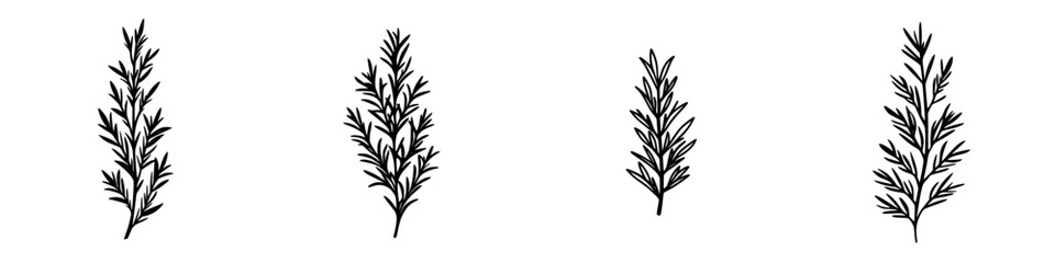 Four flat black icons of plant leaves arranged in a linear fashion suitable for design projects or botanical themes