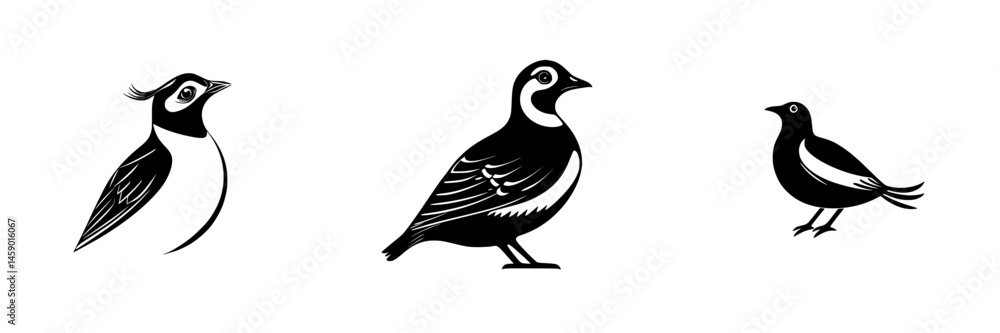 Poster stylized black icon of three distinct birds showing unique features and characteristics in a flat de