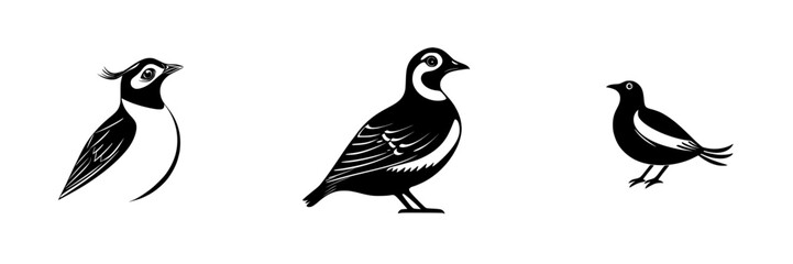 Stylized black icon of three distinct birds showing unique features and characteristics in a flat design