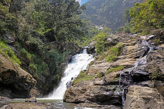 The tall Diyaluma waterfall cascades down a steep rocky slope in lush Sri Lankan highlands