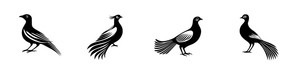 Black icon designs of birds showcasing unique styles and features presented in a minimalist flat design