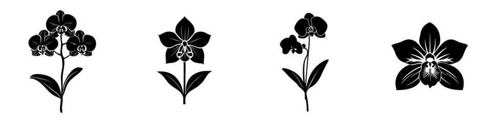 Elegant collection of flat black orchid icons showcasing various styles and designs for ornamental use