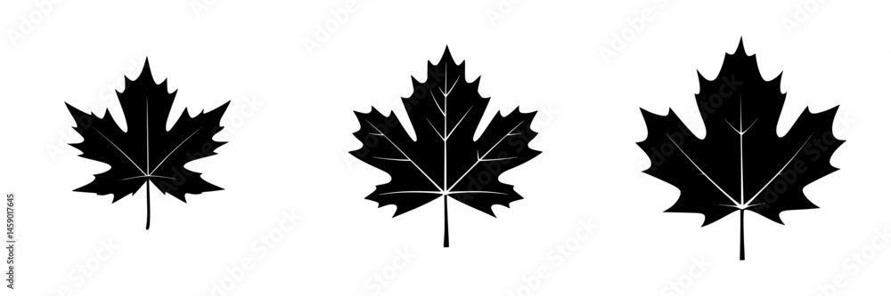Poster flat black icon featuring three distinct maple leaf silhouettes on a clean background suitable for d