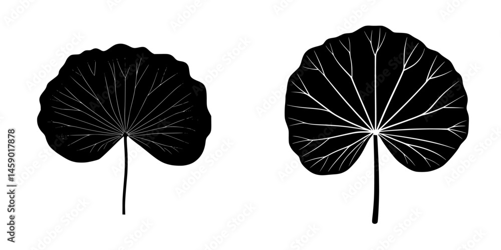 Poster simple flat black icons of two distinct leaf shapes showcasing intricate vein patterns and rounded f