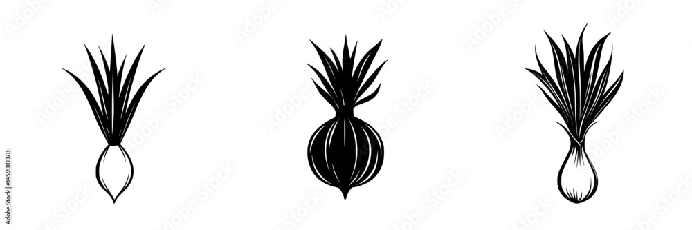Poster flat black icon set featuring three unique onion designs showcasing different shapes and styles