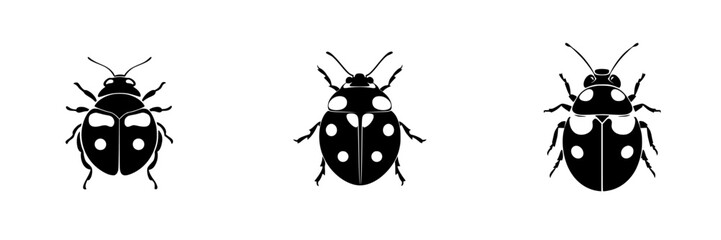 Black insect icons featuring ladybugs in a simple flat design suitable for various digital applications