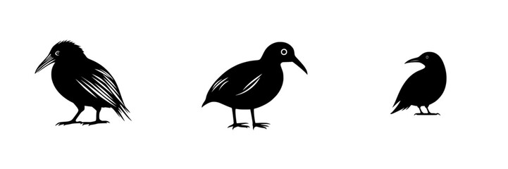 Fototapeta premium Iconic flat black silhouettes of three distinct bird species arranged in a minimalistic design for nature-themed graphics or illustrations