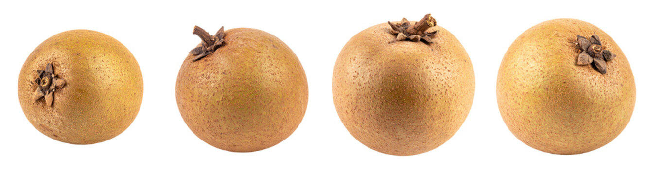 Sapodilla Fruit Isolated Sweet Tropical Fruit Transparent Background PNG Cutout Food