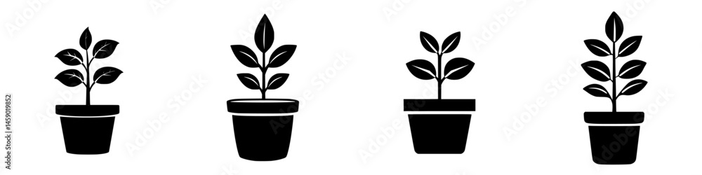 Poster conceptual flat black icon showing a sequence of growing plants in pots representing growth and deve