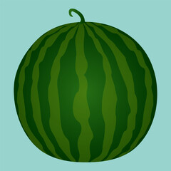 Bright vector illustration of whole tropical striped round watermelon on blue background. Appetizing juicy summer berry. Perfect for Summertime and food themed designs and promotions.