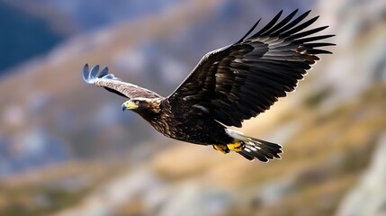 Obraz premium Majestic golden eagle in flight, soaring over a blurred mountain landscape. Its powerful wings are spread wide, showcasing intricate feather detail and sharp talons. : Generative AI