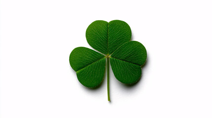 Lucky Four Leaf Clover Isolated on Clean Background Symbol of Fortune and Good Luck in Vibrant Green Detail