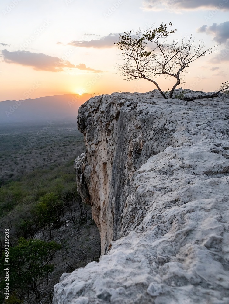 Poster sunset view from a high cliff, a small tree stands resiliently on the edge overlooking a vast landsc