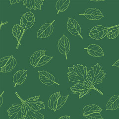 Vector seamless pattern on a dark green background with silhouettes of various leaves in light green tones. Calm beautiful pattern for your eco-projects.