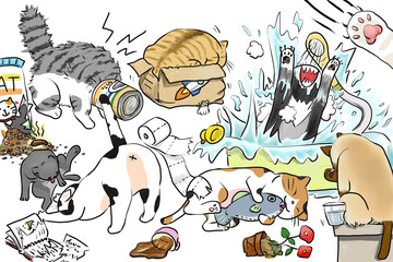 Cat's daily life.