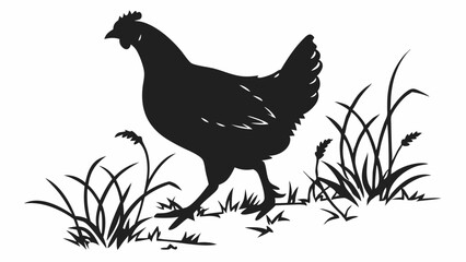 hen with white backround Vector art of silhouette of a chicken walking in the grass, isolated on white background perfect for farm, agriculture, or naturethemed designs