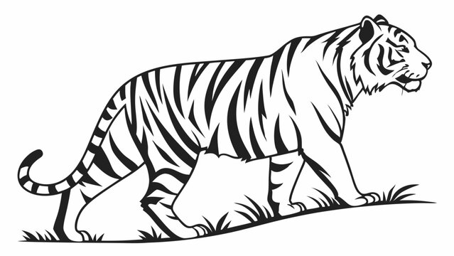 male tiger vecter ",Black Tiger on White Background &ndash; Vector Graphic , Vector art of tiger walking on grass isolated on white background, a majestic feline predator in the wild