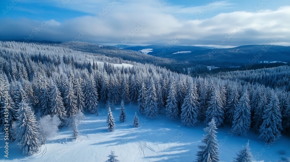 Poster aerial view of a snow-covered coniferous forest in a mountainous region, showcasing the pristine win