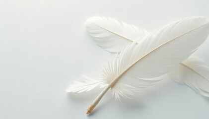Close-up of pristine white feathers against a bright backdrop , texture, smooth, white background