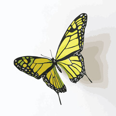 Vivid Vector Art Illustration Of A Yellow Butterfly With Detailed Wing Patterns