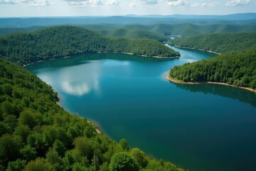 Naklejka premium Irregular shaped lake with meandering shoreline, dense forest, woods, silhouette