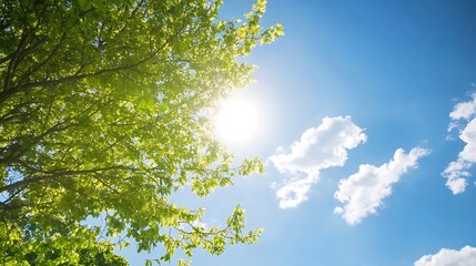 Fototapeta premium Bright sunlight filters through lush green leaves of a tree against a vibrant blue sky with fluffy white clouds, creating a serene and peaceful summer scene. : Generative AI