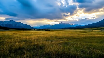 Serene sunset over vast golden meadow, majestic mountain range silhouette against a dramatic blue and gold sky.  Peaceful landscape photography. : Generative AI