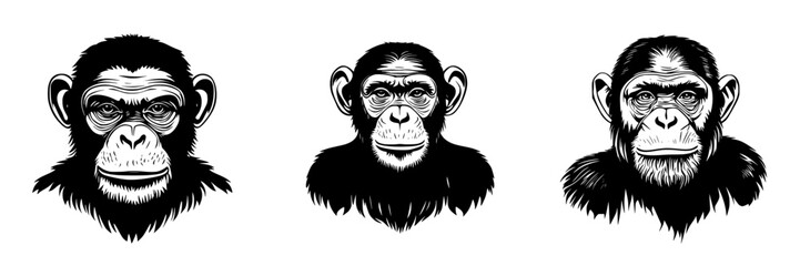 Three flat black icons of primates featuring distinct facial expressions and features