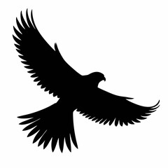 Obraz premium A vector flying falcon.