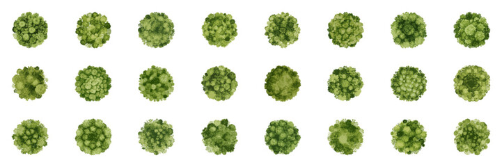 Watercolor Tree Tops for Landscape and Park Design Collection. Eco-Friendly Aerial Elements for Urban and Botanical Planning. Isolated Vector Illustration