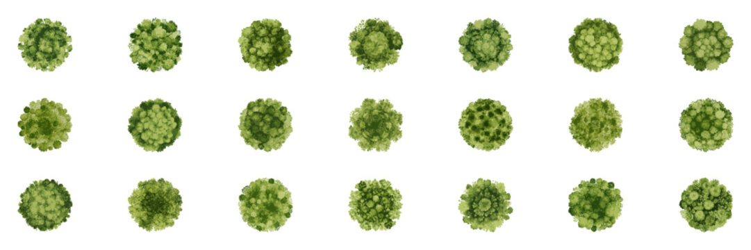 Set of Green Watercolor Trees Seen from Top View. Eco Landscape Planning, Architectural Urban Garden Maps. Isolated Vector Illustration