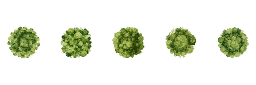 Top View Trees in Watercolor Style for Landscape Architecture and Urban Mapping. Eco-Friendly Canopy Assets for Garden Planning. Isolated Vector Illustration