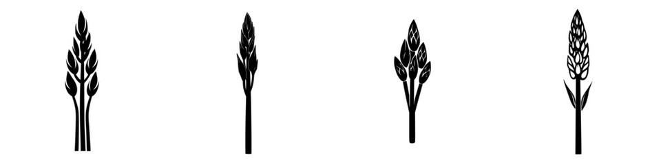 Unique collection of flat black icons representing various types of asparagus against a white background