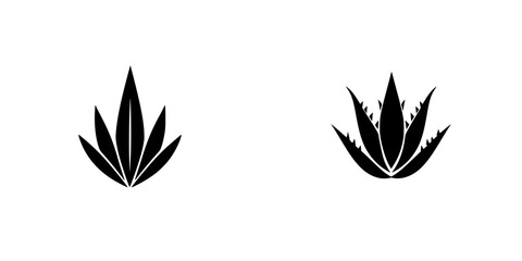 Stylized flat black icon of an agave plant showcasing detailed leaf patterns and sharp, pointed shapes