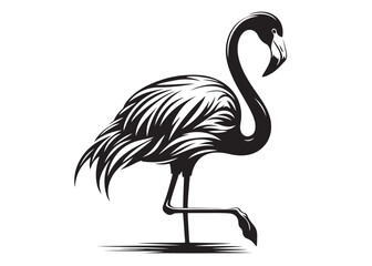 Vector flamingo logo silhouette vector, silhouette of flamingo logo icon, tropical wildlife flamingo logo silhouette, simple black an white flamingo vector silhouette isolated on a white background