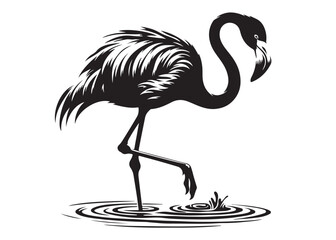 Vector flamingo logo silhouette vector, silhouette of flamingo logo icon, tropical wildlife flamingo logo silhouette, simple black an white flamingo vector silhouette isolated on a white background
