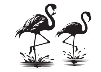 Vector flamingo logo silhouette vector, silhouette of flamingo logo icon, tropical wildlife flamingo logo silhouette, simple black an white flamingo vector silhouette isolated on a white background