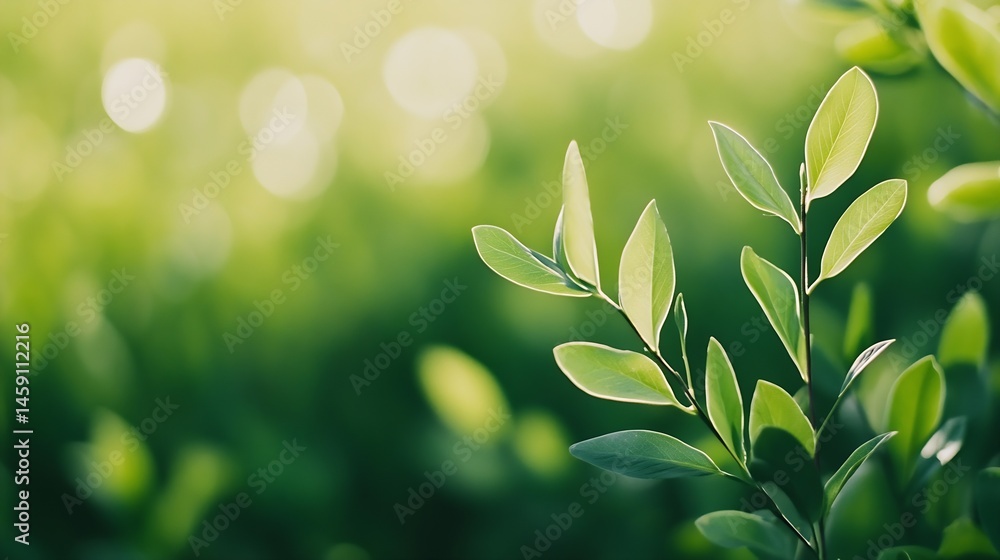 Poster close-up of vibrant green leaves illuminated by sunlight, showcasing intricate details and a bokeh b