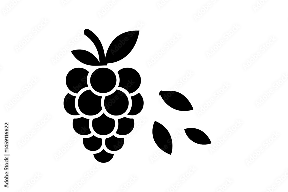 Poster grapes illustration featuring clusters and leaves in a simple vector style suitable for various proj